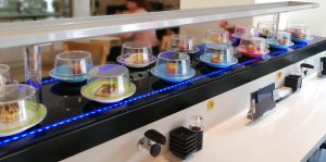 Modu Magnetic Food Conveyor